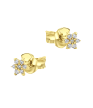 Blossom CZ Flower Silver Stud Earring STS-7132